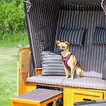 Kranichnest By Interhome * Bodstedt